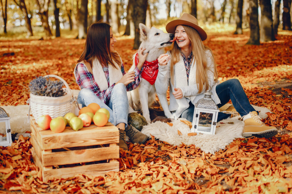 cozy autumn gathering