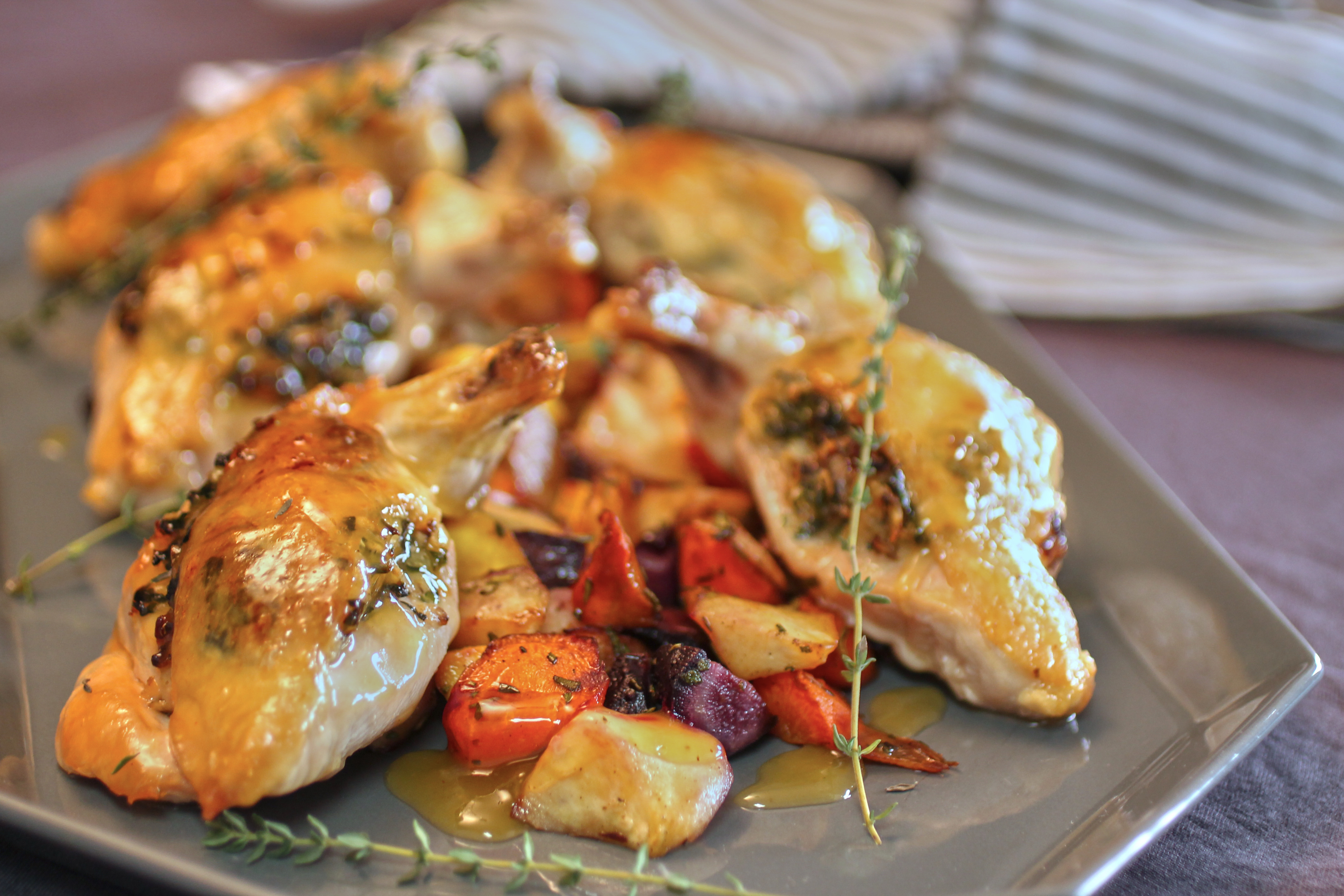 Matzo Farfel Stuffed Apricot Chicken 