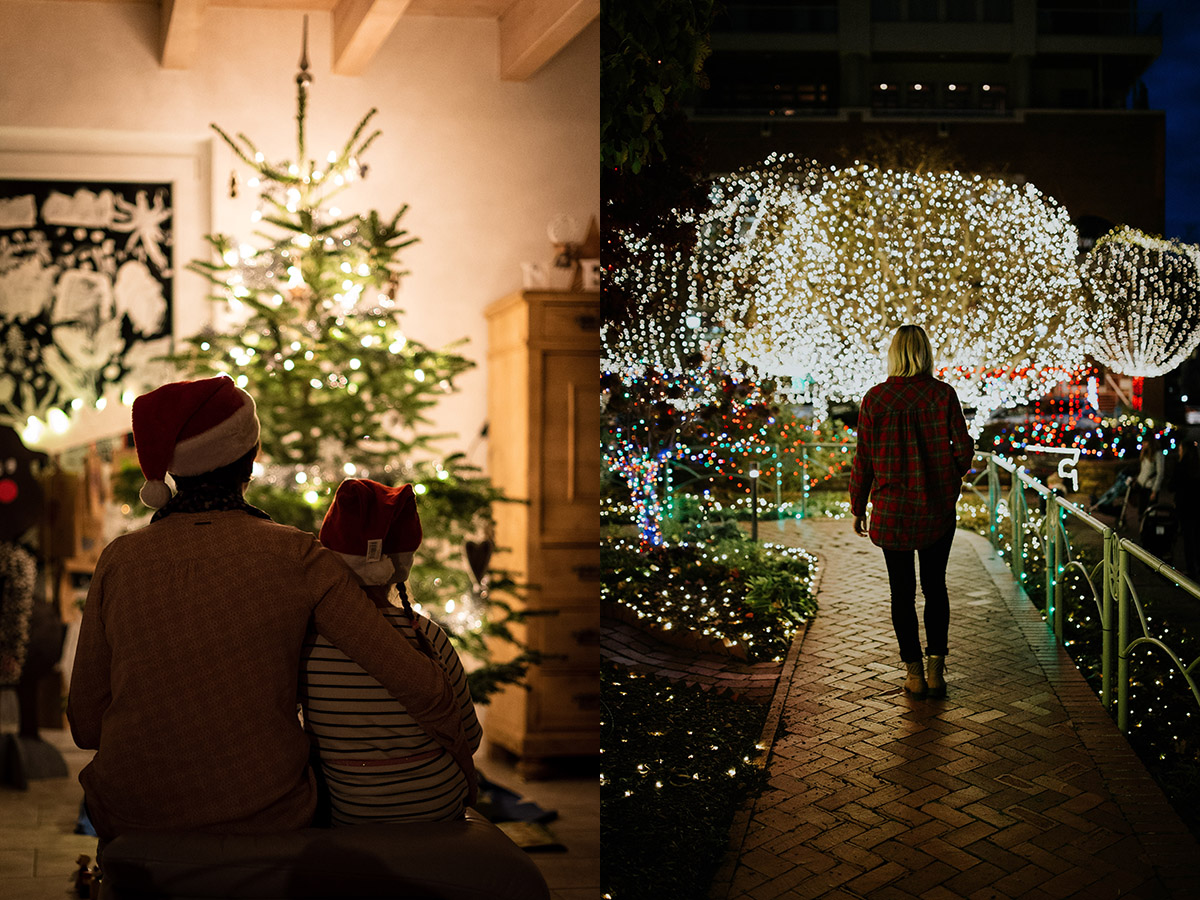 Cut and set up a Christmas tree in Chicago